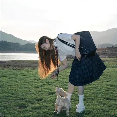 猛虎屠龙